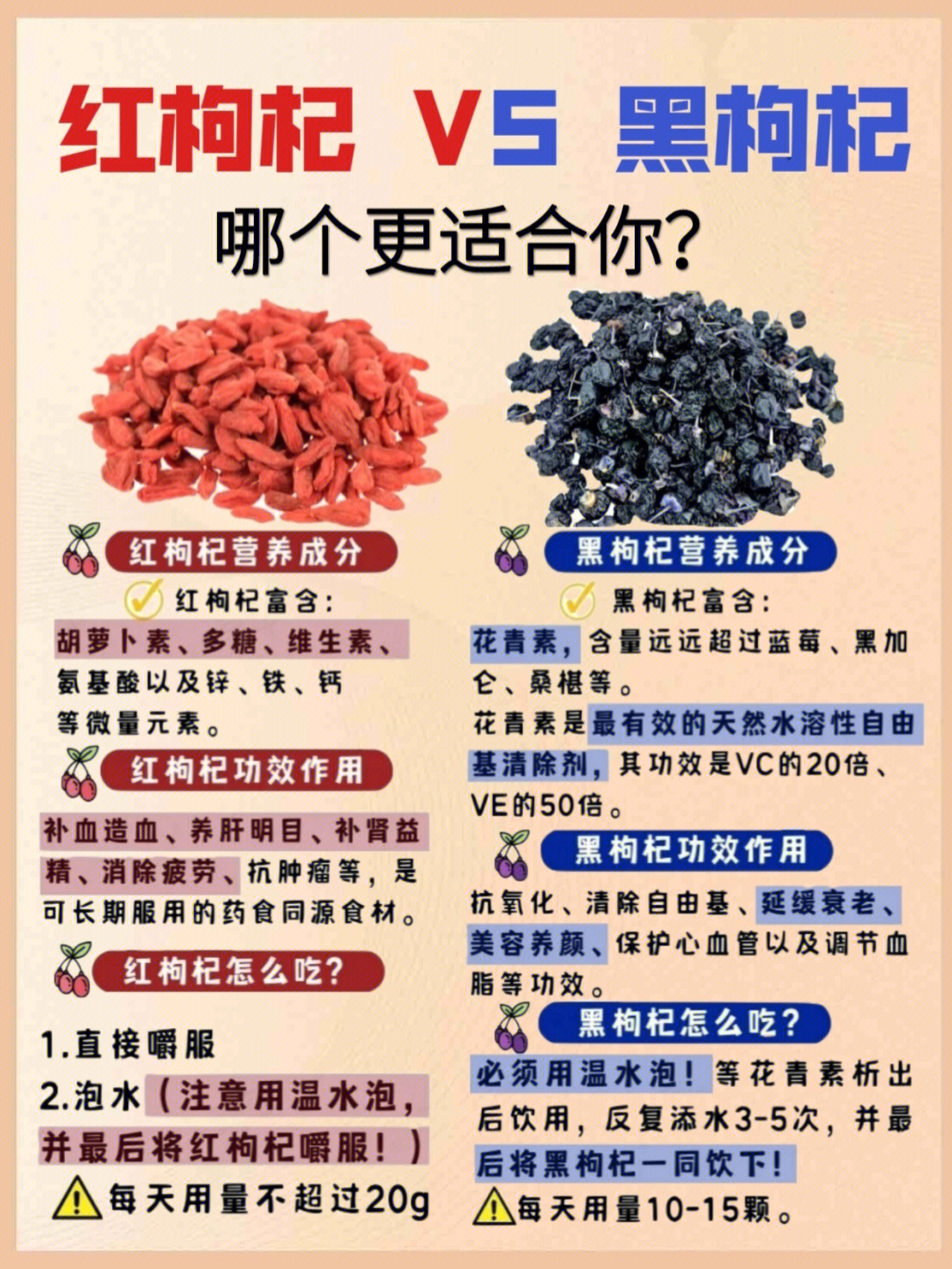 禁忌枸杞喝泡水子的功效_枸杞子泡水喝的禁忌_枸杞不能随便泡水喝