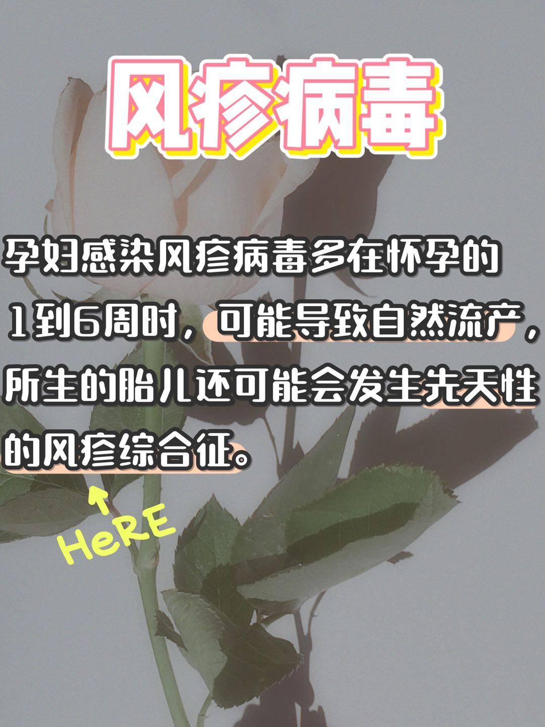 孕妇的风疹怎么办_孕妇风疹病毒图片_孕妇风疹图片