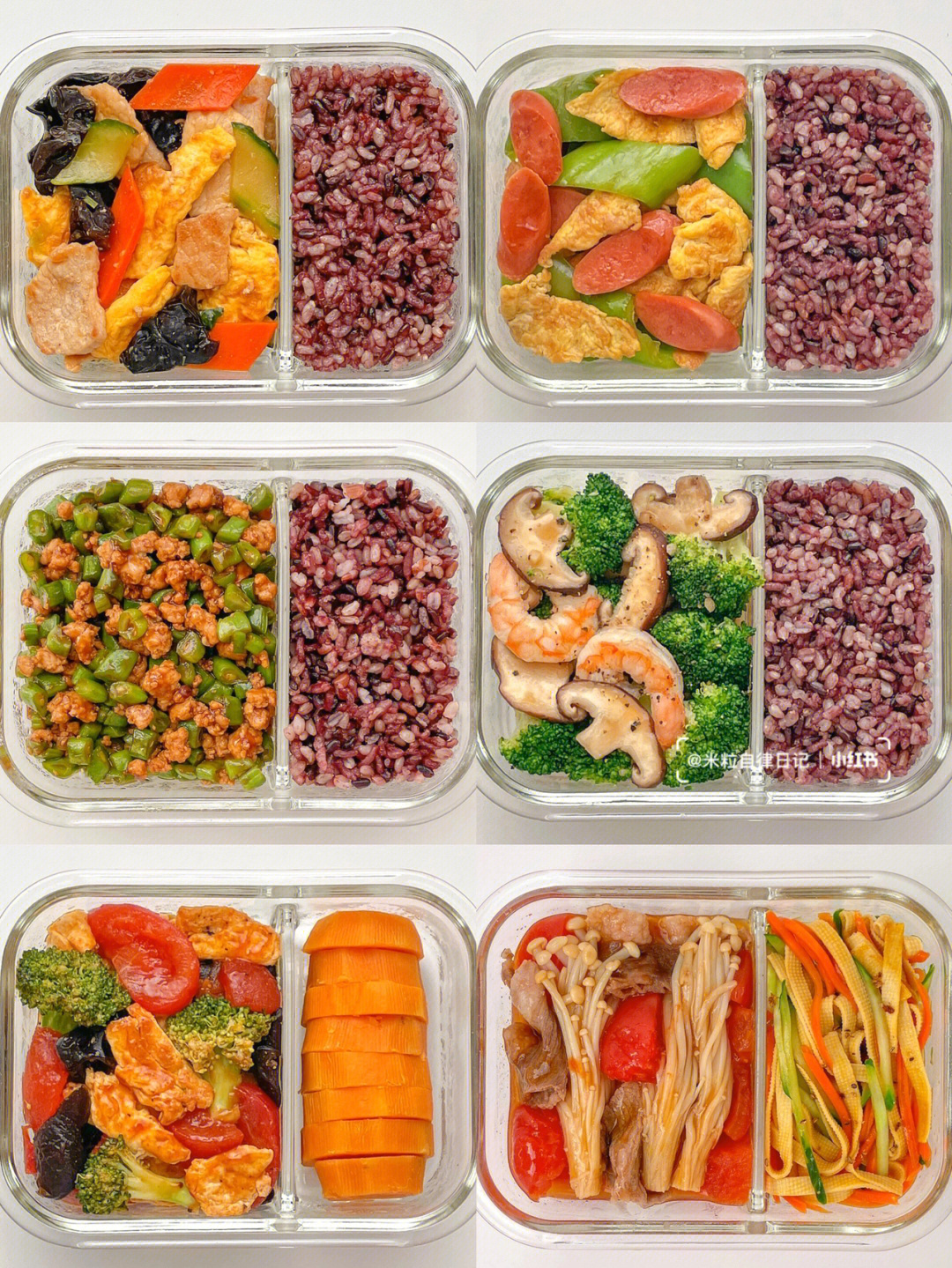 丽萍减脂视频_杨丽萍减肥食谱_杨丽萍节食减肥
