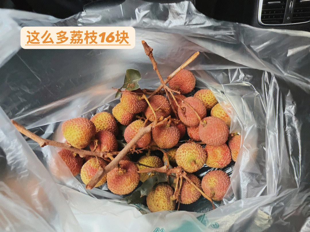 新鲜荔枝如何保存可以放冰箱吗_新鲜保存荔枝怎么保存_荔枝怎么保存新鲜