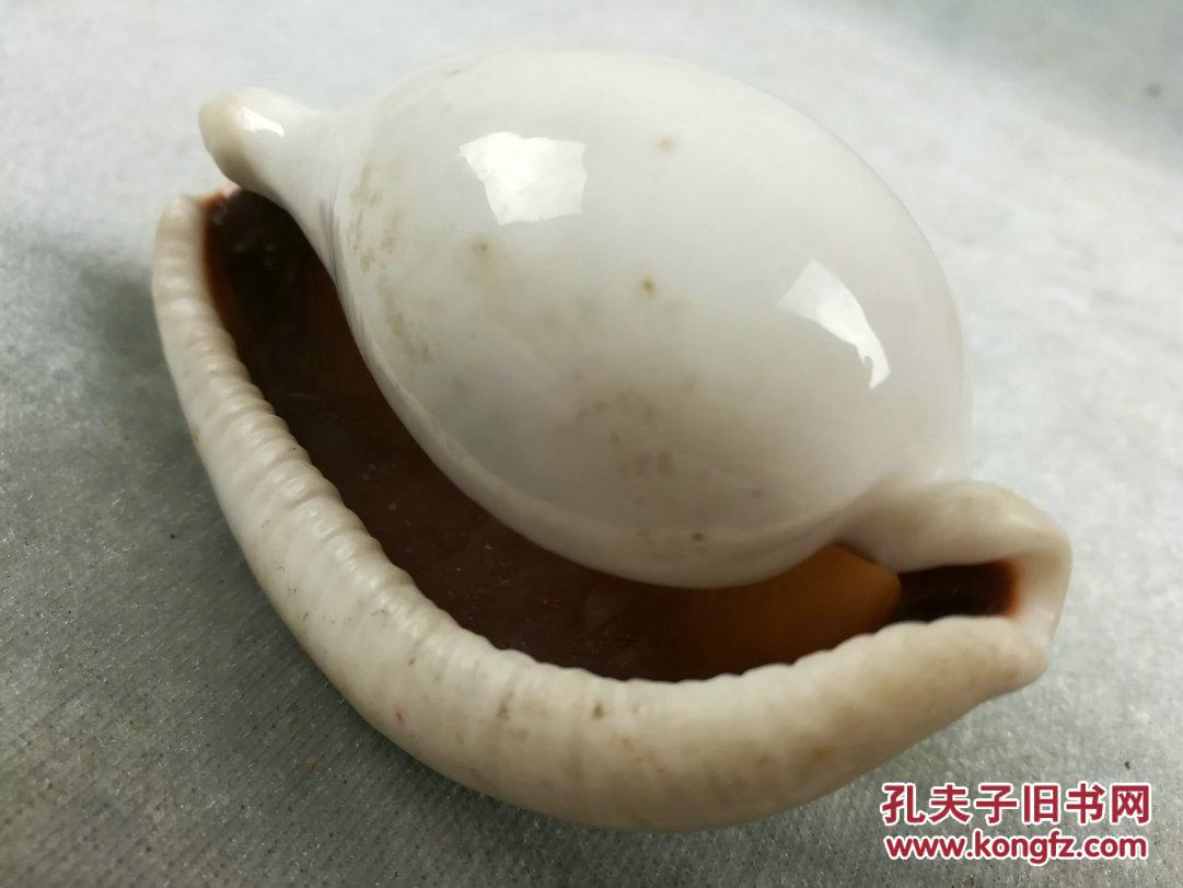 叶良辰出处_我叶良辰是什么意思_叶良辰是什么梗