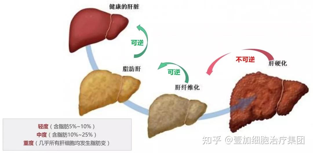 春季美白水果 哪些食物美白效果好_美白必吃的五种水果_美白最好的水果有哪些