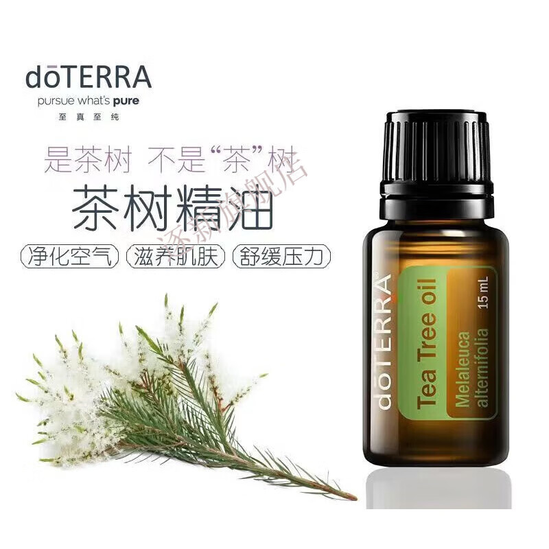 茶树精油祛痘_茶树精油祛痘膏_茶树祛痘油精有用吗