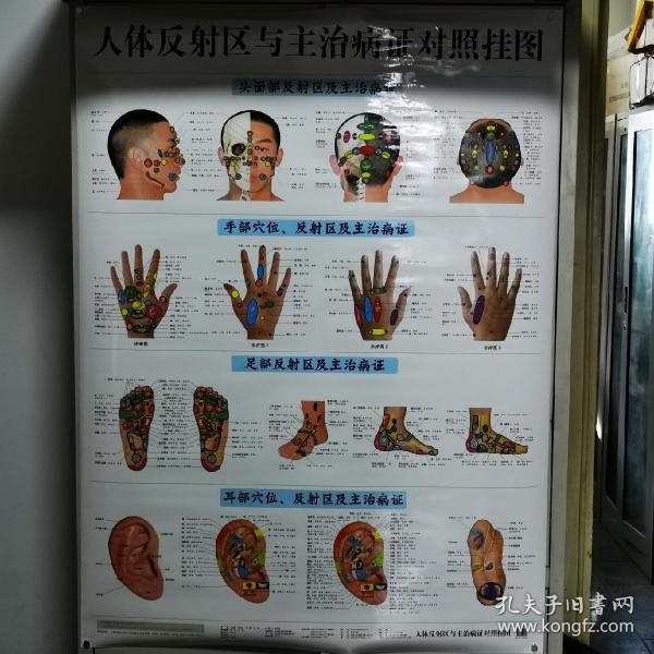脚底反射疗法_脚底按摩图反射区图片_反射按摩脚的好处