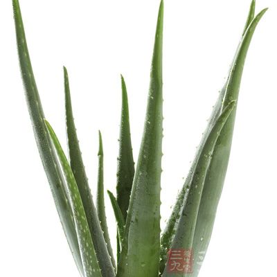 林清轩芦荟胶_林清轩芦荟胶_林清轩芦荟胶为什么停产