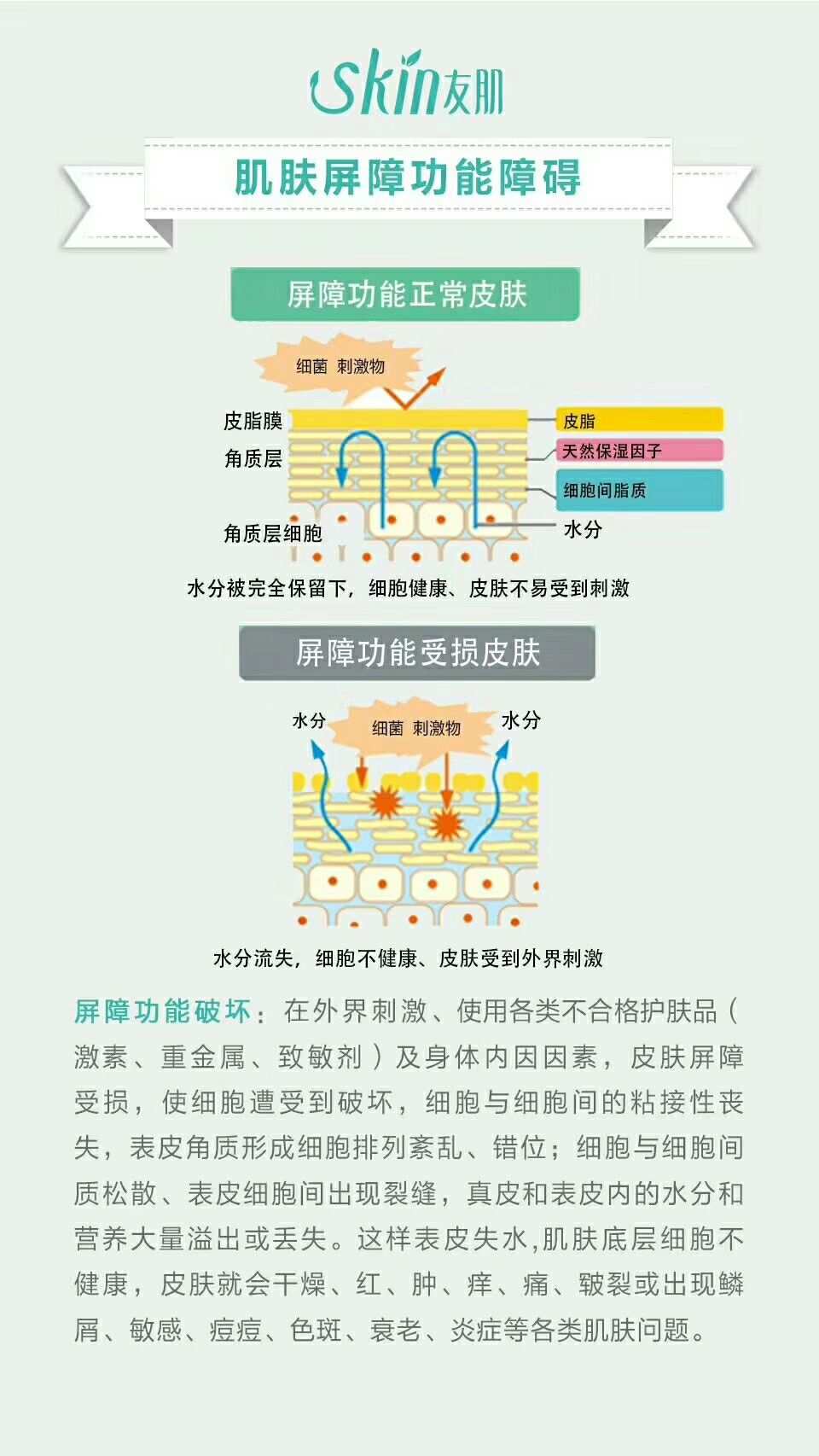 红血丝怎么用护肤品_红血丝护肤步骤_红血丝皮肤用什么护肤品