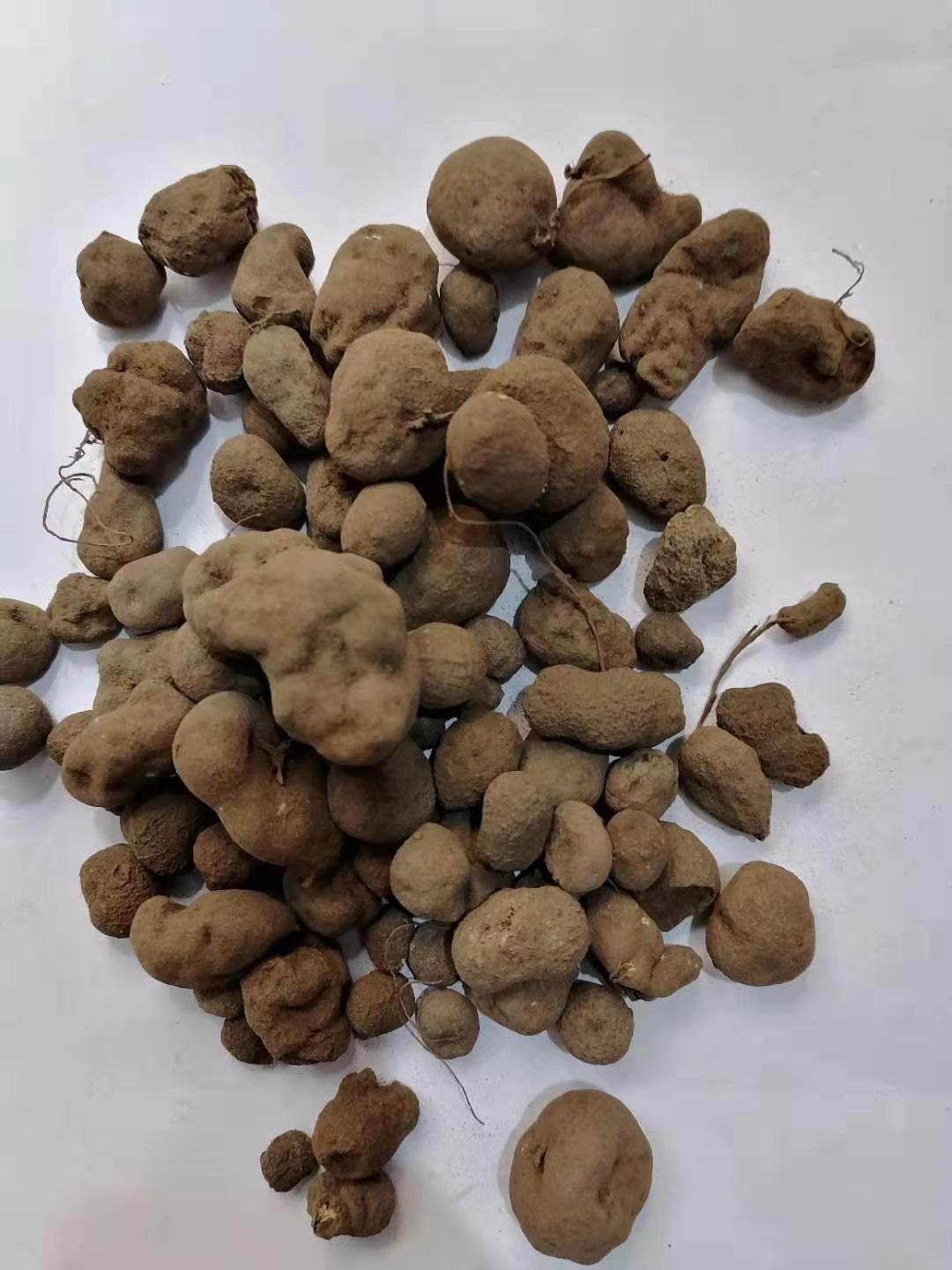 巴豆可以减肥吗_减肥巴豆可以吃不_减肥巴豆可以吃么