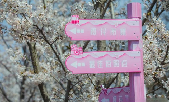 蜜月旅行推荐_蜜月旅行路线推荐_蜜月旅行排行榜