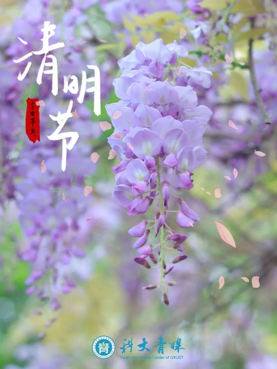 清明节办喜事_清明节适宜做什么事_清明节不宜做什么事